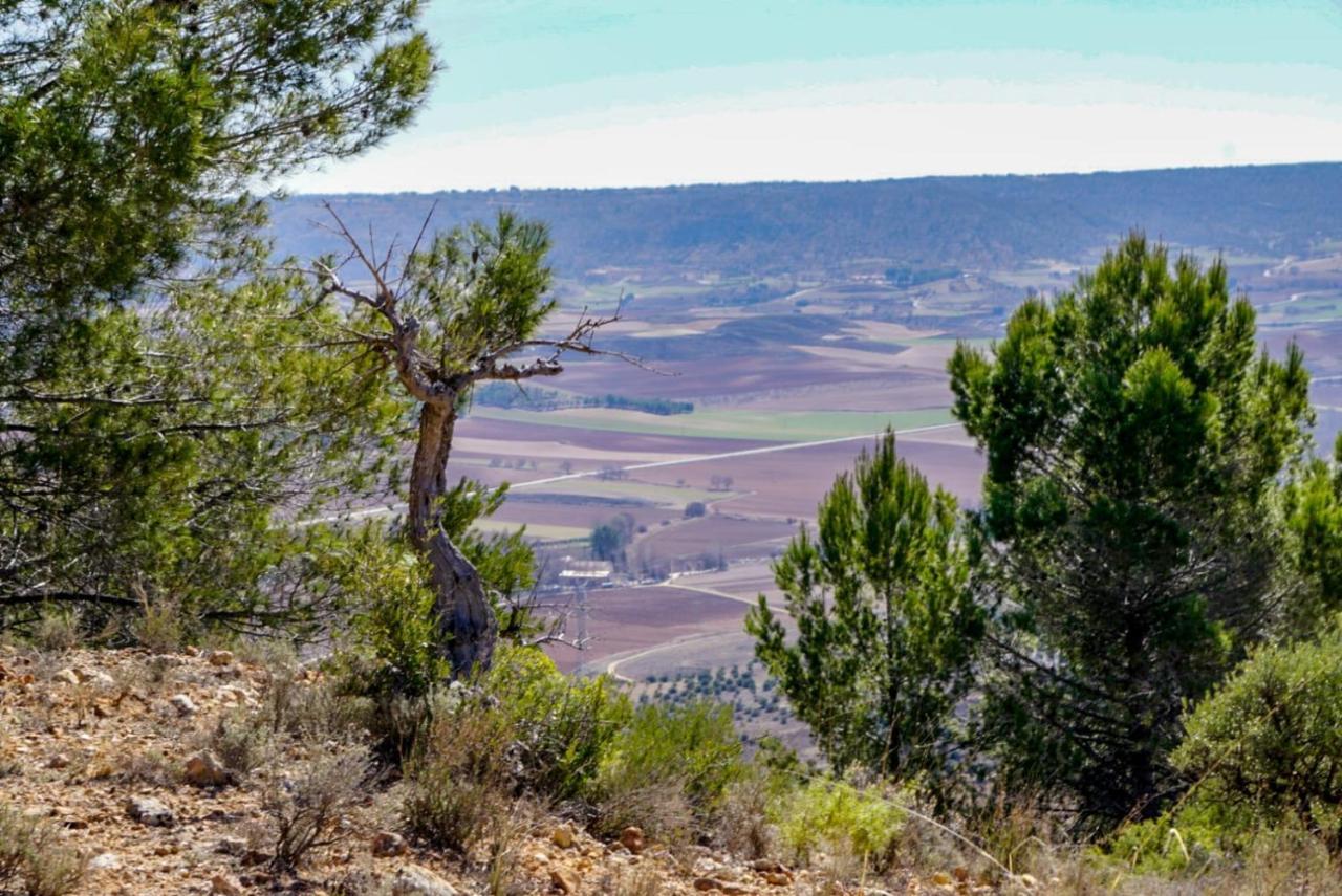 Horche Casa Rural Tio Mora מראה חיצוני תמונה